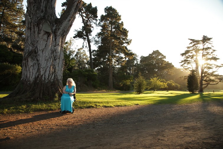 af3b2d_a354833c044e47189eb690d654cc4a89